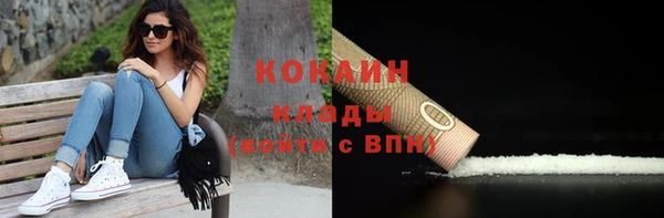ALPHA PVP Краснослободск