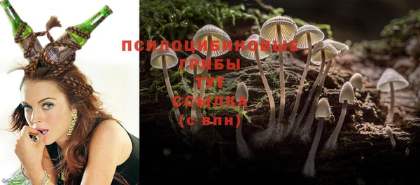 ALPHA PVP Краснослободск
