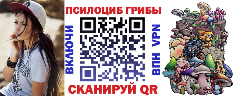 Галлюциногенные грибы Psilocybine cubensis  Купить закладки  Елизово 