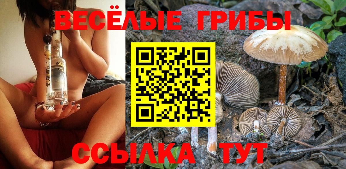Псилоцибиновые грибы Magic Shrooms  Вход с VPN  Елизово 
